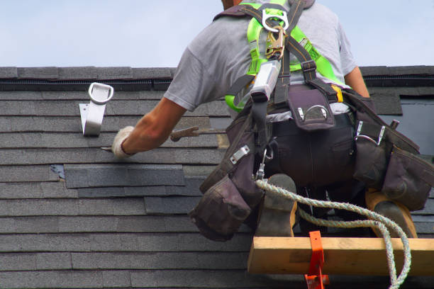 Best Metal Roofing Contractor  in Missouri Valley, IA