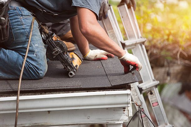 Best Metal Roofing Contractor  in Missouri Valley, IA